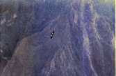 Le Condor