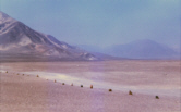 Dsert de Nazca