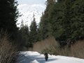 Un alpiniste  fat bike