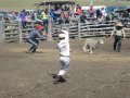 Qui aura la peau du mouton ?