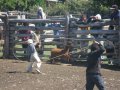 Les lassos volent