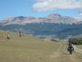 La locomotion animale dans la pampa