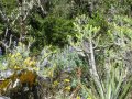 Berga au pays des merveilles
